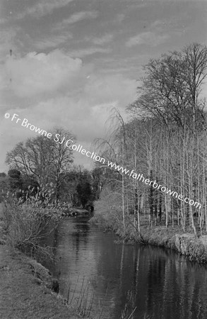 POPLARS BY THE RIVER NORE